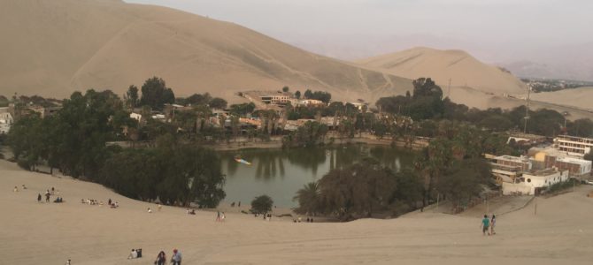 An Oasis in the Desert