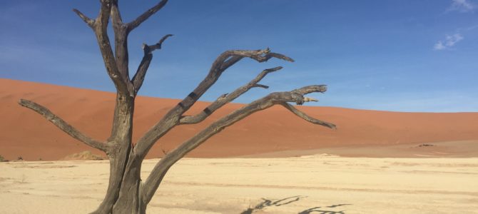 How Is Namibia Like Mars?